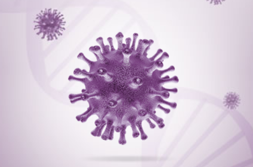 virologia