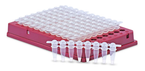 Lyophilization Service Sentinel Diagnostics We Research And Develop Innovative Diagnostics Lyophilization Service Sentinel Diagnostics We Research And Develop Innovative Diagnostics